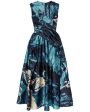 Amneris Paint Sleeveless Drape Midi Dress on Sale