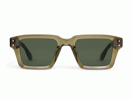 Carter Sunglasses in Olive Hot on Sale