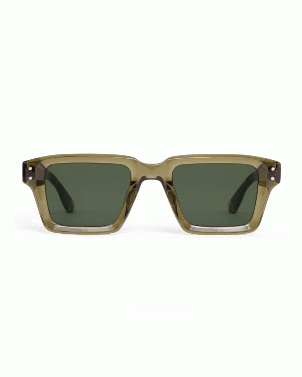 Carter Sunglasses in Olive Hot on Sale