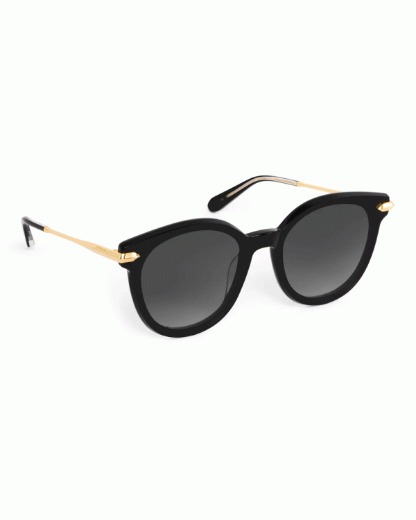 Colette Sunglasses in Black For Cheap