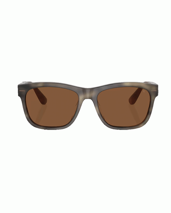 Acetate Sunglasses in Taupe and Brown For Cheap