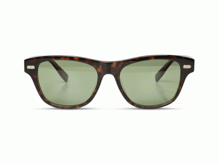 Acetate Sunglasses in Havana and Brassica Discount