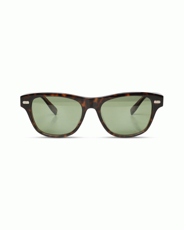 Acetate Sunglasses in Havana and Brassica Discount