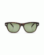 Acetate Sunglasses in Havana and Brassica Discount