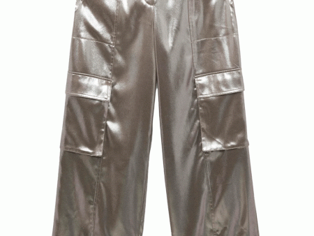 Silver Beatriz Wide Leg Cargo Pant Supply