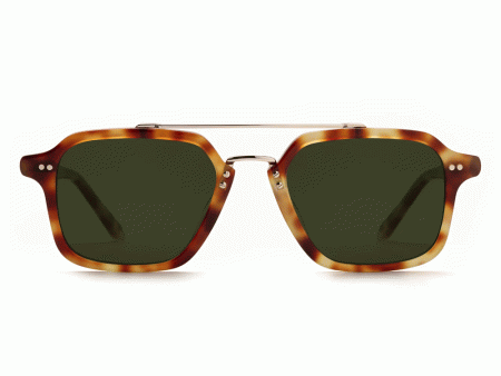 Colton Polarized Sunglasses in Hawksbill Sale