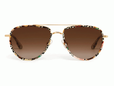 Coleman Sunglasses in Poppy Noir Online Hot Sale