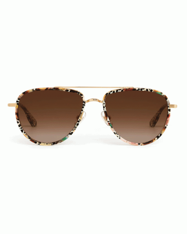 Coleman Sunglasses in Poppy Noir Online Hot Sale