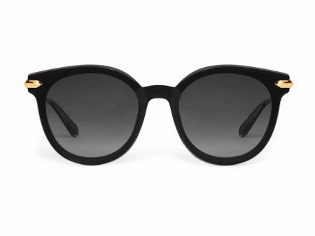 Colette Sunglasses in Black For Cheap