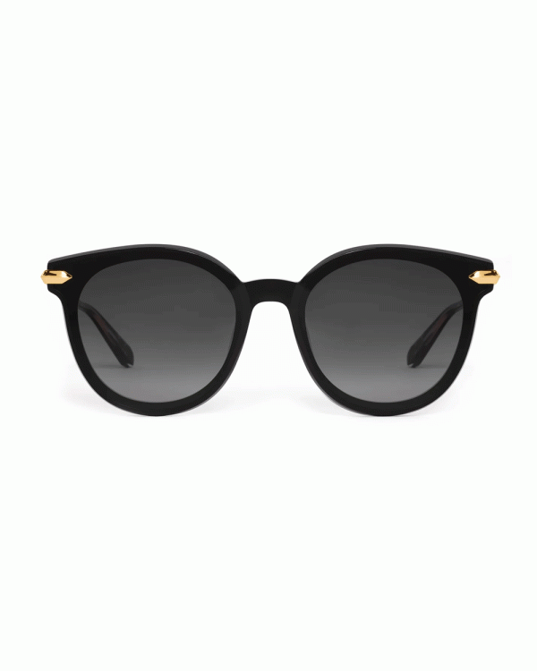 Colette Sunglasses in Black For Cheap