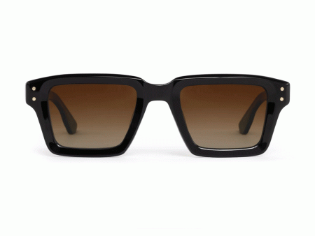 Carter Polarized Sunglasses in Black Tea Discount