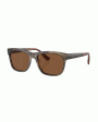 Acetate Sunglasses in Taupe and Brown For Cheap