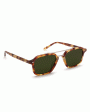 Colton Polarized Sunglasses in Hawksbill Sale