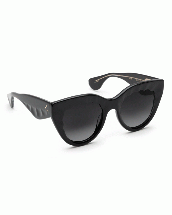 Charlotte Sunglasses in Black For Sale