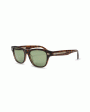 Acetate Sunglasses in Havana and Brassica Discount