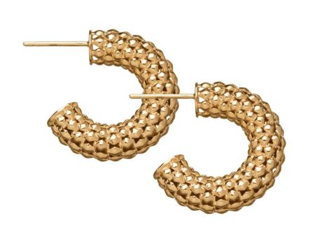 Aisha 1” Textured Hoops Online