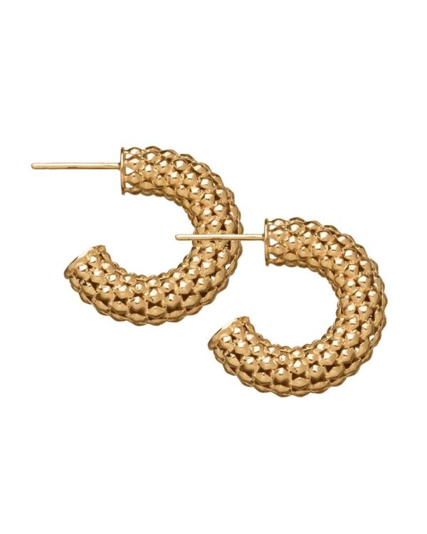 Aisha 1” Textured Hoops Online