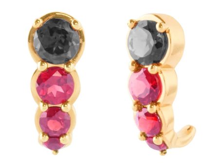 Black Diamond and Rubellite Hook Earrings For Cheap