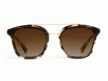 Colisuem Sunglasses in Malt on Sale